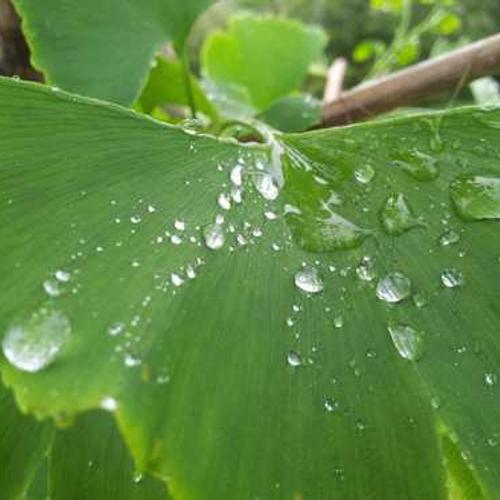 Gislason-Greenfelder