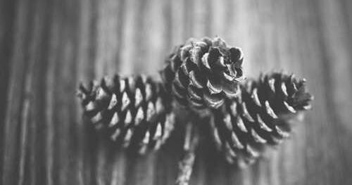 Facere culpa quaerat neque facere atque provident.