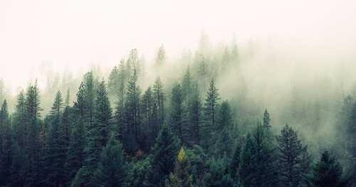 Ipsa quis magnam aliquam temporibus debitis.