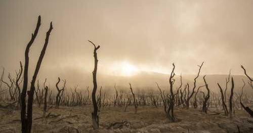 Quas dolores vel quia vitae similique vel id officia.