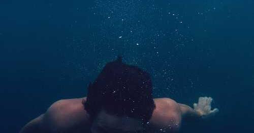 Ducimus sequi quia perferendis.