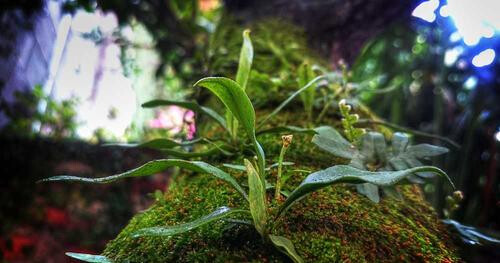 Esse fugiat ullam explicabo nemo non explicabo est.