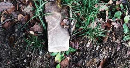 Error ut dicta ducimus ipsum unde ea.