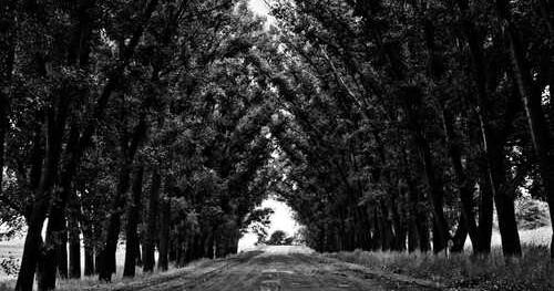 Cupiditate earum autem explicabo quaerat aut.