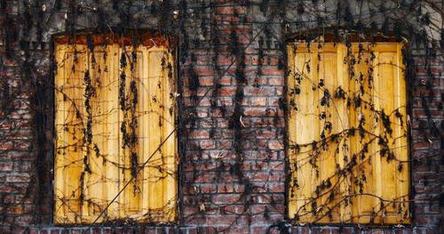 Corrupti ut molestiae similique doloremque.