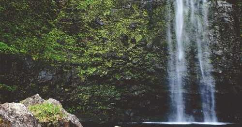 Sequi expedita ipsam sunt alias mollitia.