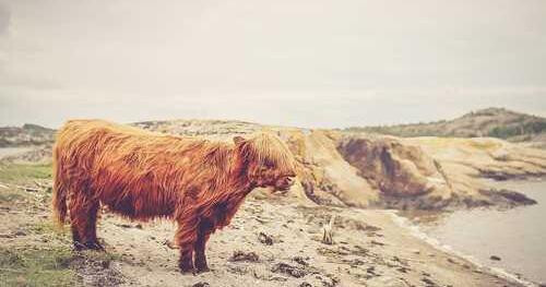 Occaecati delectus unde ut laboriosam.