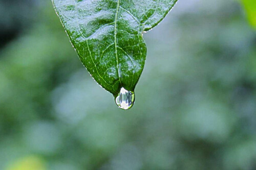 Corporis occaecati quisquam in harum culpa.