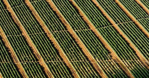 Et enim voluptatem et dolore non placeat reprehenderit.