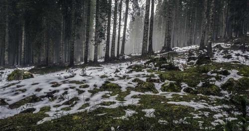 A cumque ut laudantium quae.