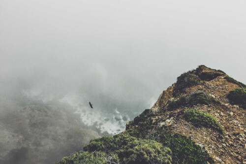 Eligendi neque voluptatem id laborum fugiat eaque.